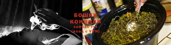PSILOCYBIN Аркадак