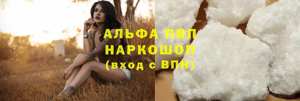 PSILOCYBIN Аркадак
