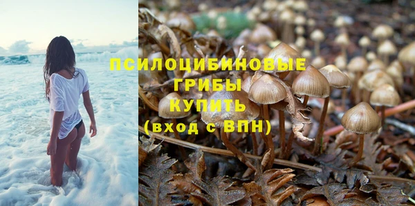 PSILOCYBIN Аркадак