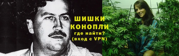 PSILOCYBIN Аркадак