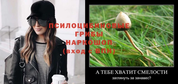таблы Осинники