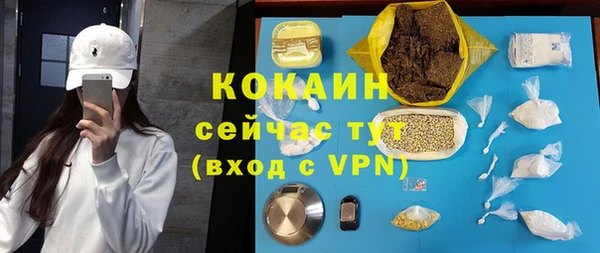 PSILOCYBIN Аркадак