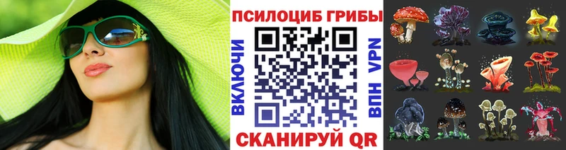 Галлюциногенные грибы Magic Shrooms  купить   Сухиничи 
